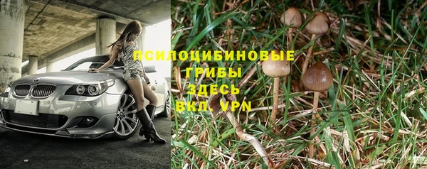 марки lsd Липки