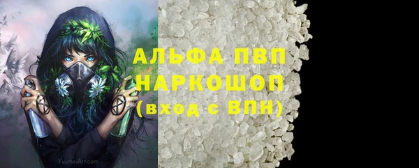 PSILOCYBIN Лихославль