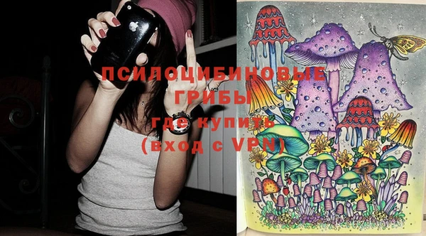 PSILOCYBIN Лихославль