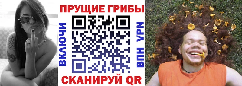 Купить Чердынь Псилоцибиновые грибы GOLDEN TEACHER